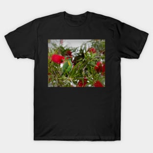 Musk Lorikeet and Bottle brush T-Shirt